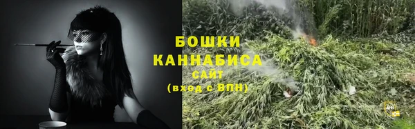 хмурый Каменка