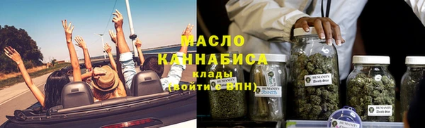 хмурый Каменка