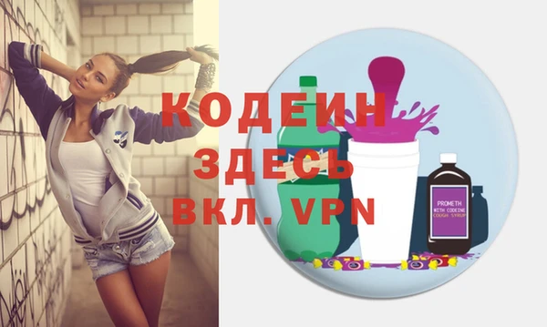 хмурый Каменка