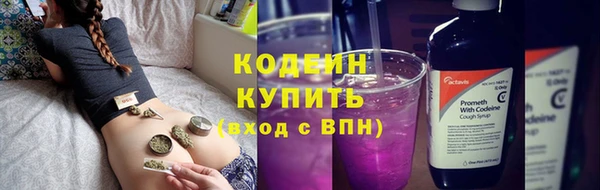 хмурый Каменка