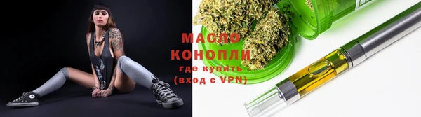хмурый Каменка
