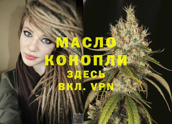 хмурый Каменка