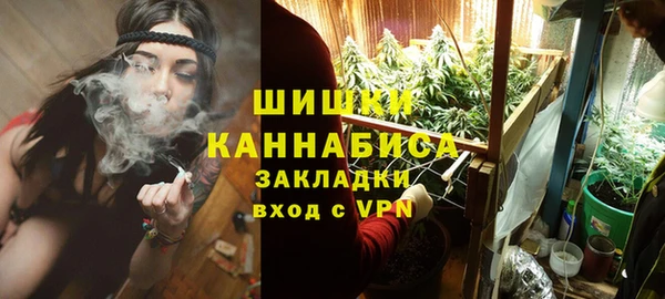 хмурый Каменка