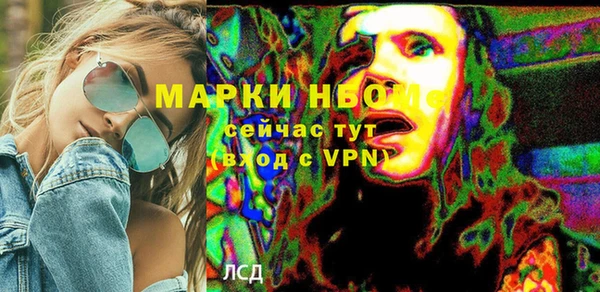 хмурый Каменка