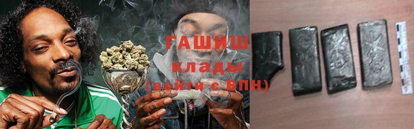 хмурый Каменка