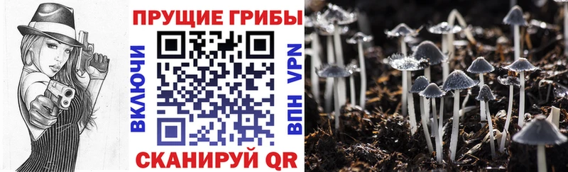 Галлюциногенные грибы ЛСД  Купить где  Ирбит 